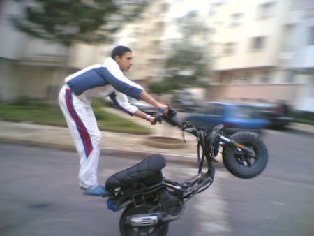 mehdi